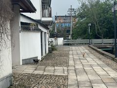 -东梓关景区村庄