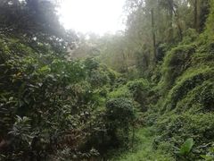 -火炉山森林公园