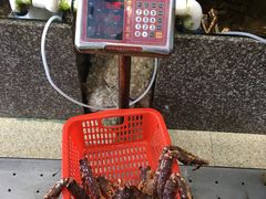 -蚝专家(北滘店)