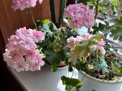 -伊隆斋(什刹海店)