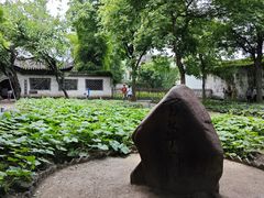 -绍兴鲁迅故里·沈园景区