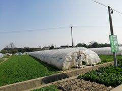 -小鱼草莓采摘园农家乐·小鱼餐厅