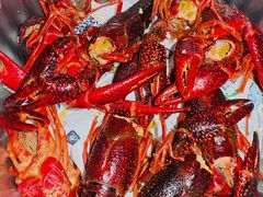 -同福龙虾(高新店)