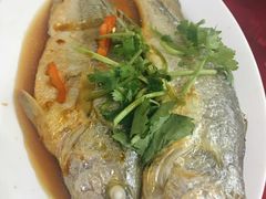 -蛇口康乐快餐鱼仔档(翠苑小区店)