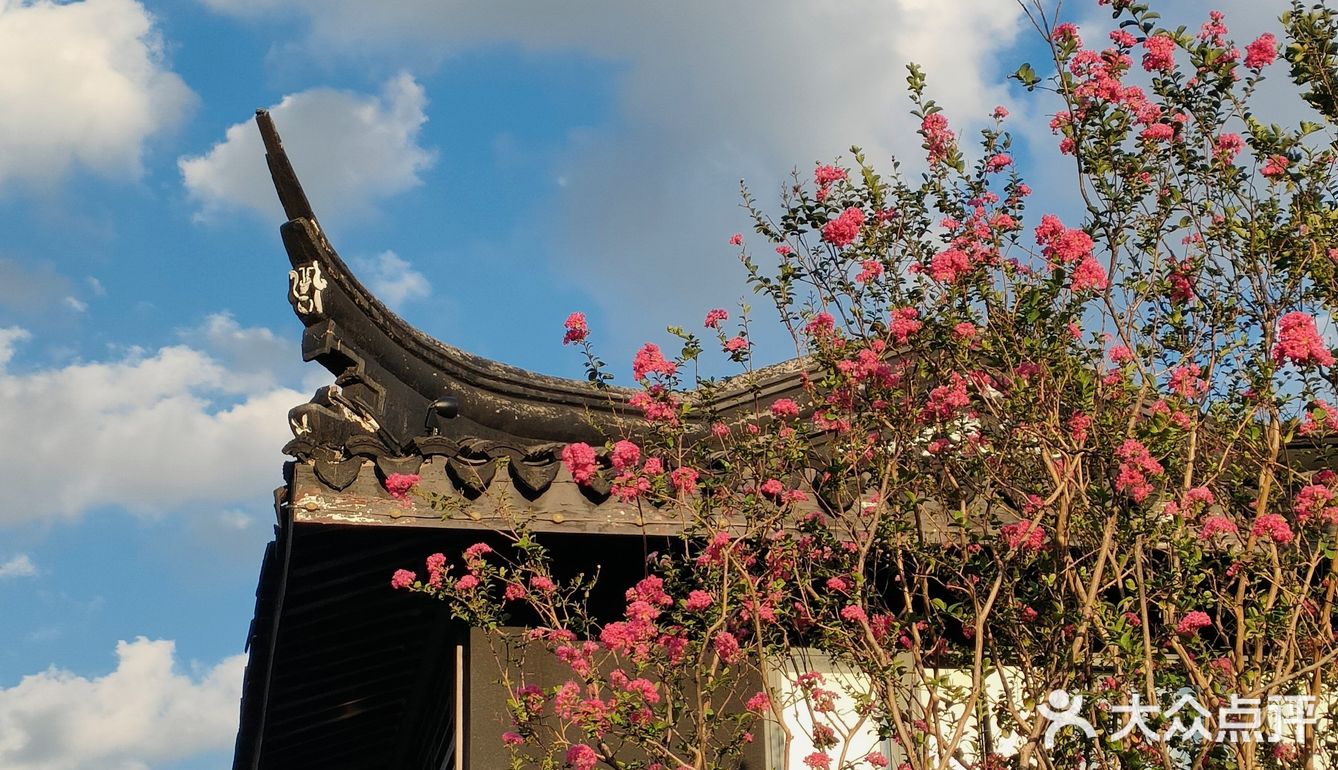 花树旁的咖啡厅