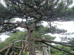 -罗田薄刀峰风景区
