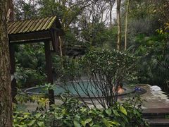 -青城道汤池
