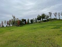 -三圣花乡旅游区