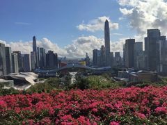 -莲花山公园
