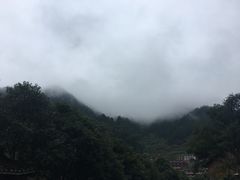 -一杯黔茶(西江千户苗寨古街店)