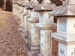 -奈良公园