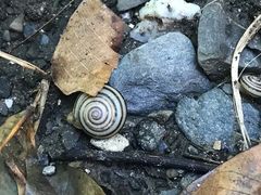 -龙坑生态保护区