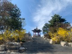 -大兴滨河森林公园