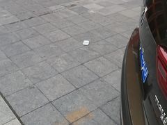 -群发饺子(茂铭·逸品康城店)