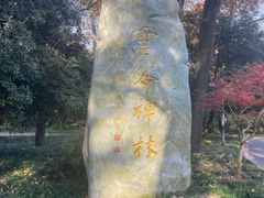 -灵谷景区