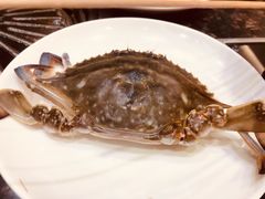 -肥肥牛鲜蚝海鲜自助(红山店)