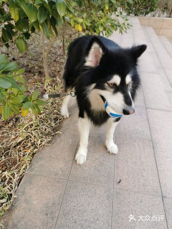 愿我们共度下一个下下一个五年