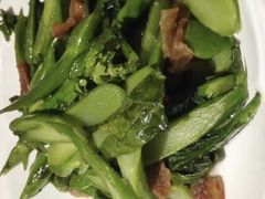 -金燕岛潮州酒楼