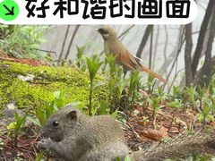 -青城山