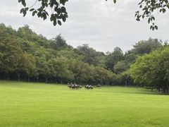 -广州雕塑公园