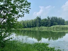 -稻香湖景欢乐岛温泉城堡