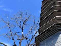 -正阳书局(西四南大街店)