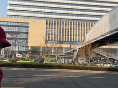 -山东大学齐鲁医院(青岛院区)