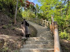 -梭布垭石林景区