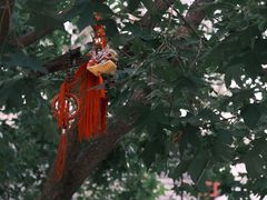 -三里河公园