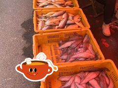 -沙子口大集沙子口海鲜市场