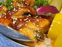蒲烧鳗鱼盖饭-渔井食堂(新洲店)