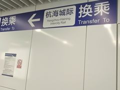 -临平南高铁站(地铁站)