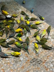 -酷嗒动物文化乐园(cutezoo西溪乐天城店)