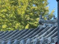 -长安寺