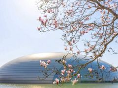 -国家大剧院