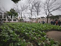 -绍兴鲁迅故里·沈园景区