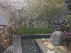 -龙佳生态温泉山庄