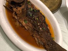 -老长春肉馆(创业大街店)