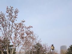 -西海子公园