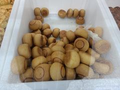 -北京稻香村(大都专卖店)