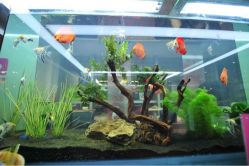 iphone_upload_pic-小左美发