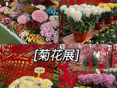 -清明上河园