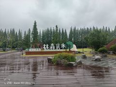 -黄海国家森林公园