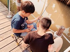 -田园东方蜜桃村的田野营地