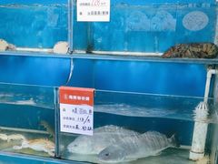 水产区-吕氏疙瘩汤·私家菜馆(慈云寺店)