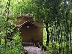 -黑河国家森林公园