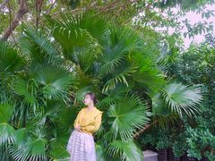 -三亚凤凰水城凯莱度假酒店