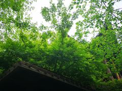 -鼓楼(西湖风景名胜区)