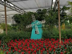 -南宫五洲植物乐园