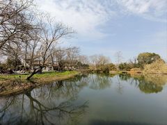 -西溪国家湿地公园